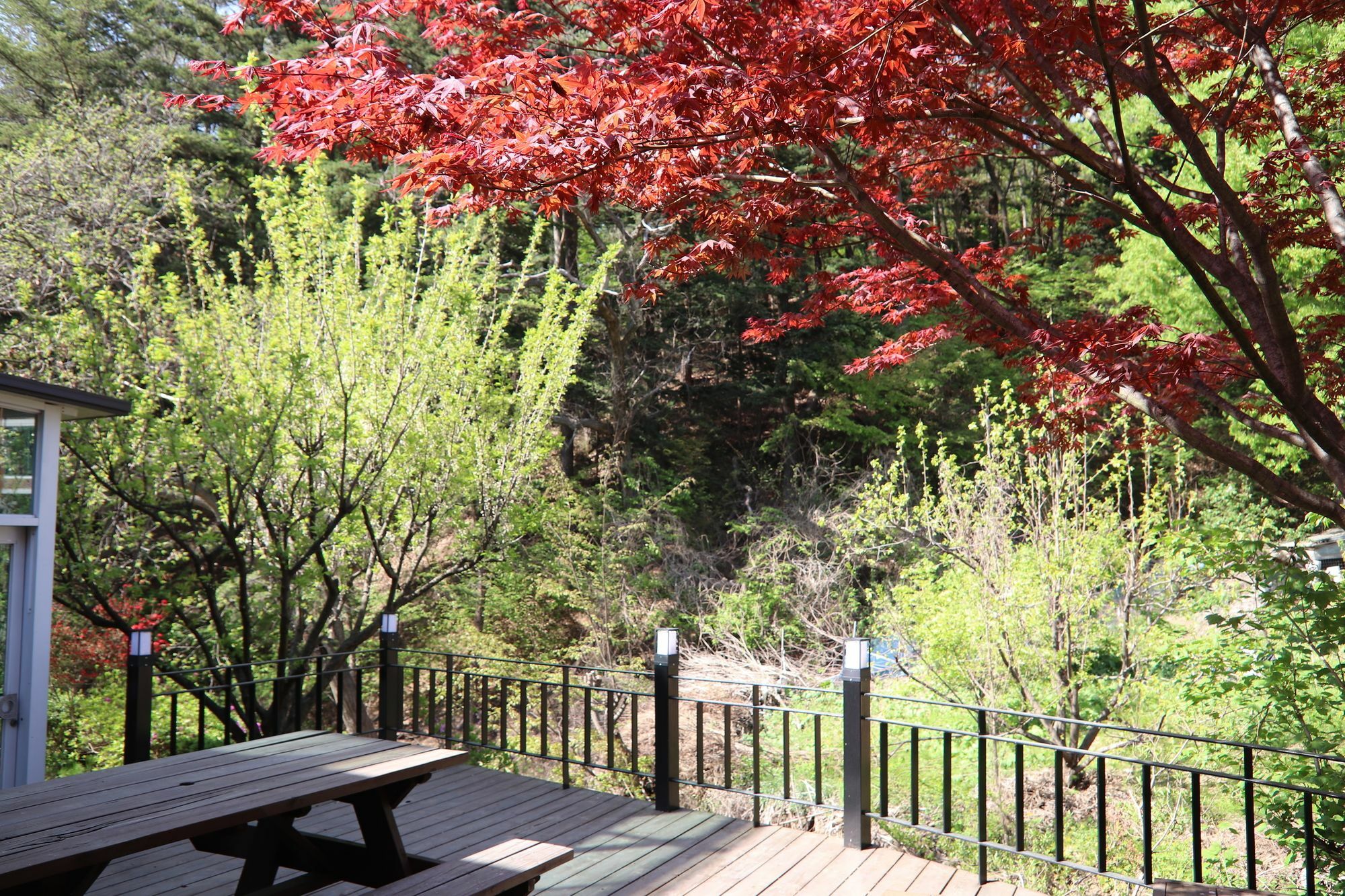 Everlast Guesthouse Yongin Exterior foto